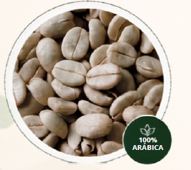 Café pergamino Verde Arábica