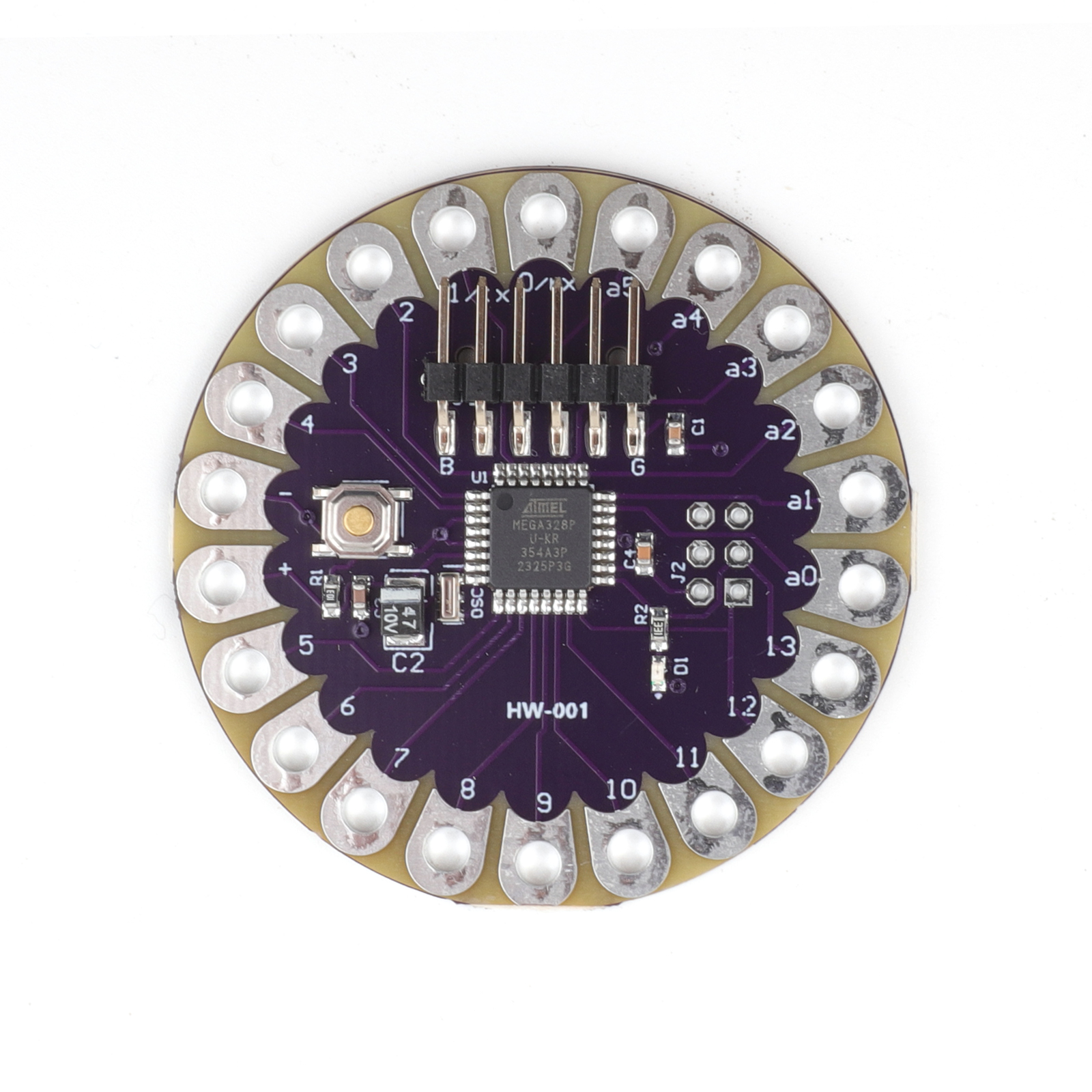 Wearable Microcontroller Board