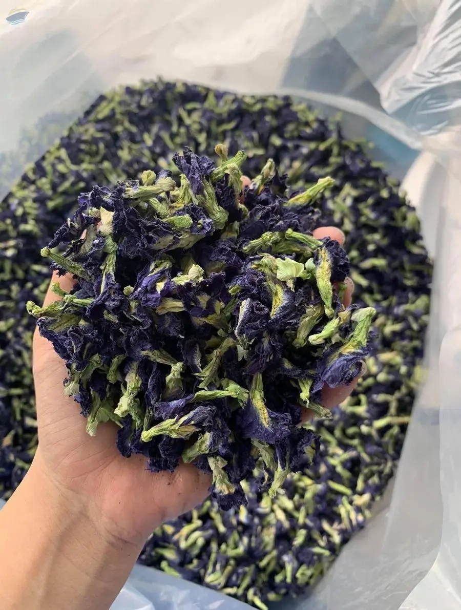 Butterfly Pea Flower
