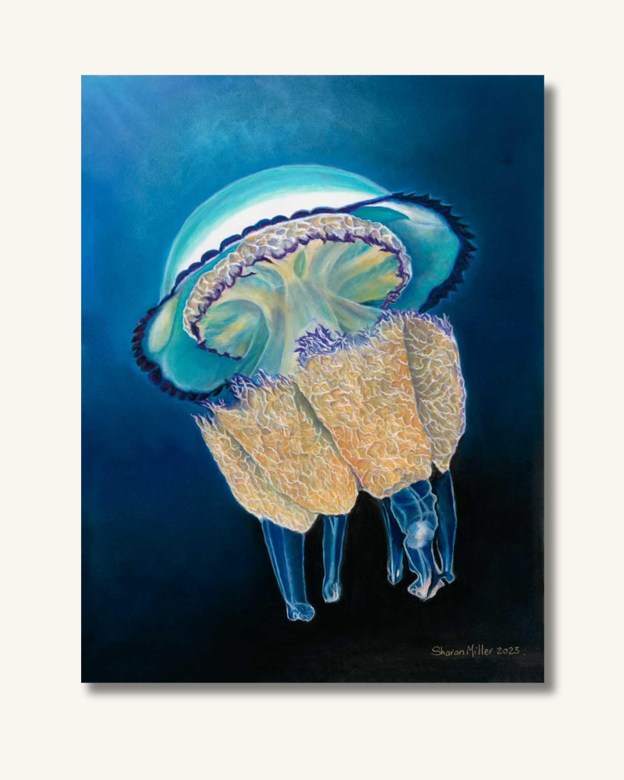 Jelly FIsh