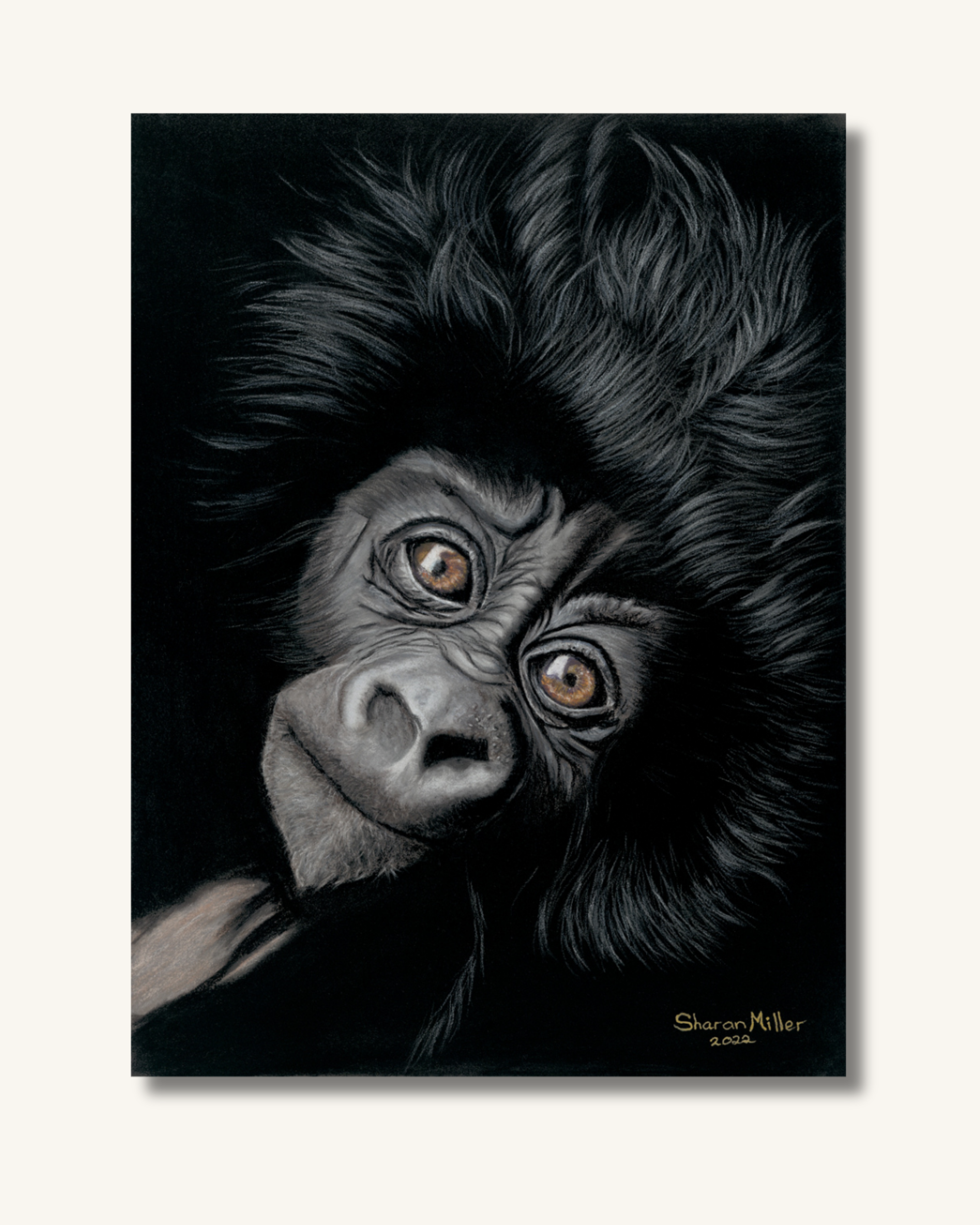 Baby Gorilla