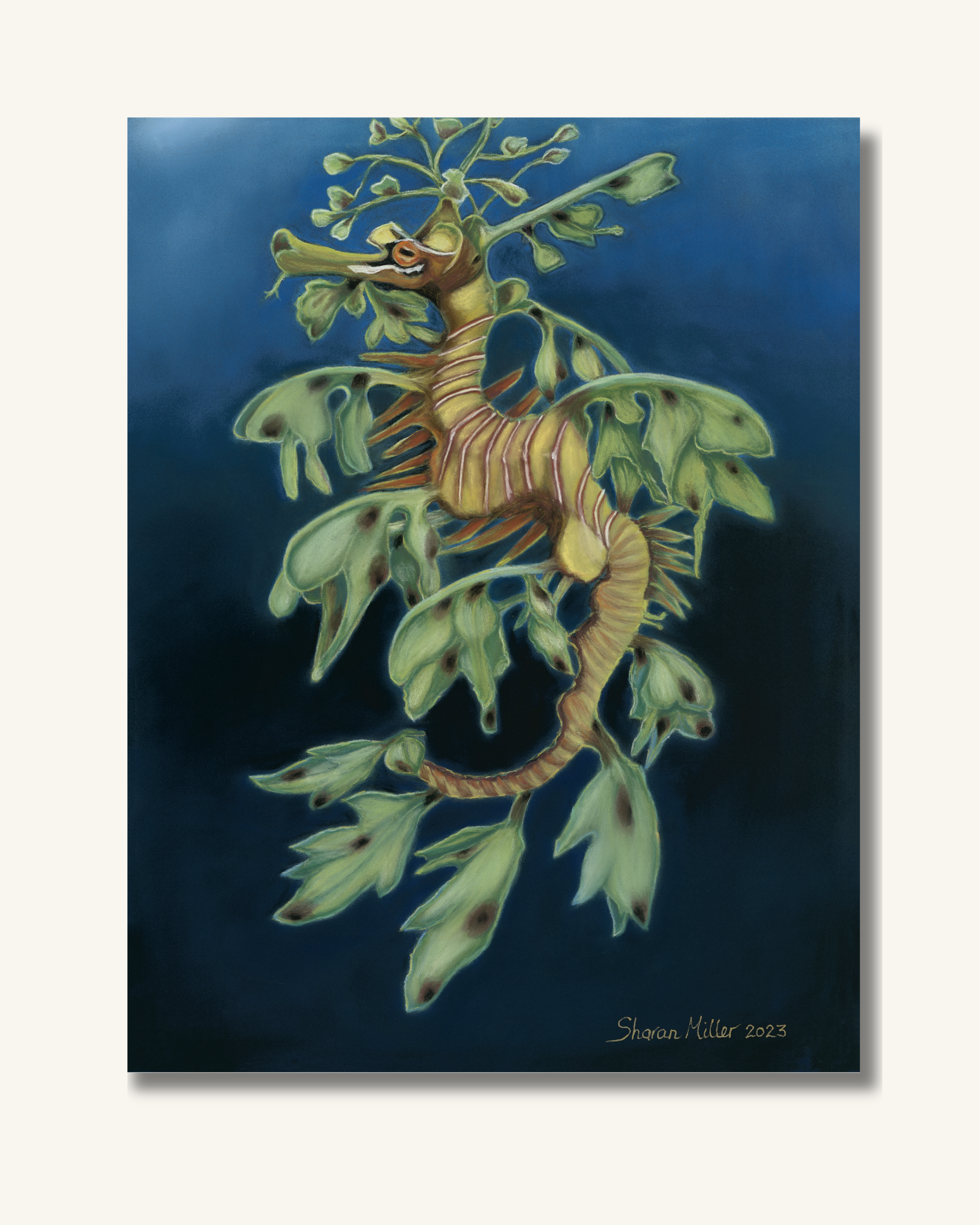 See Dragon