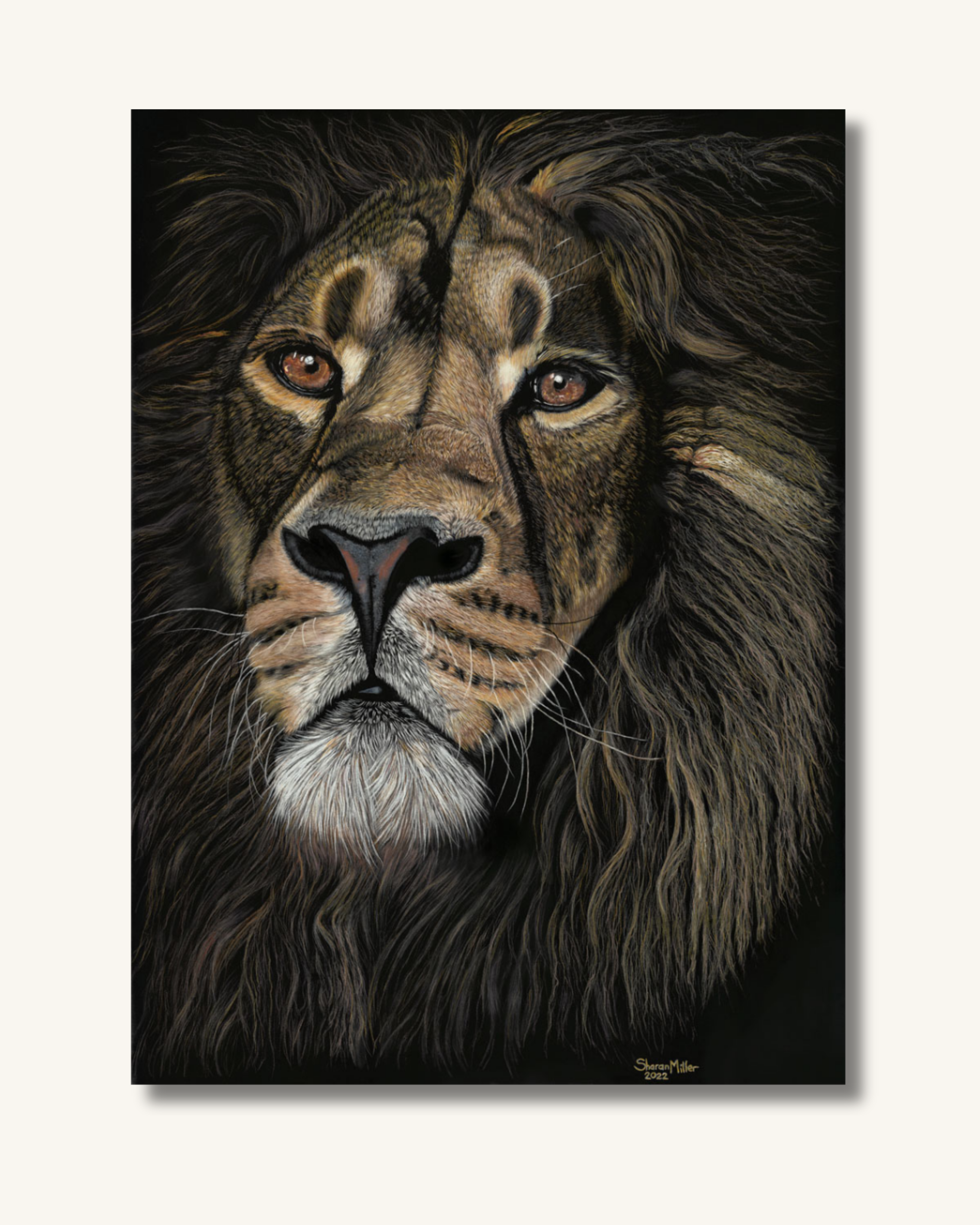 Lion