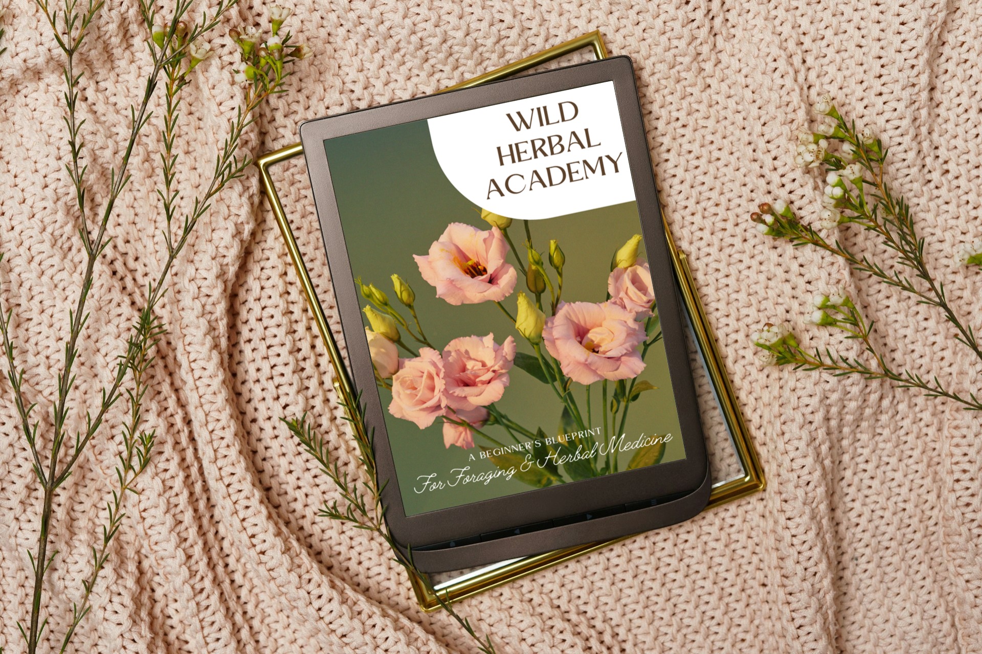 Wild Herbal Academy 