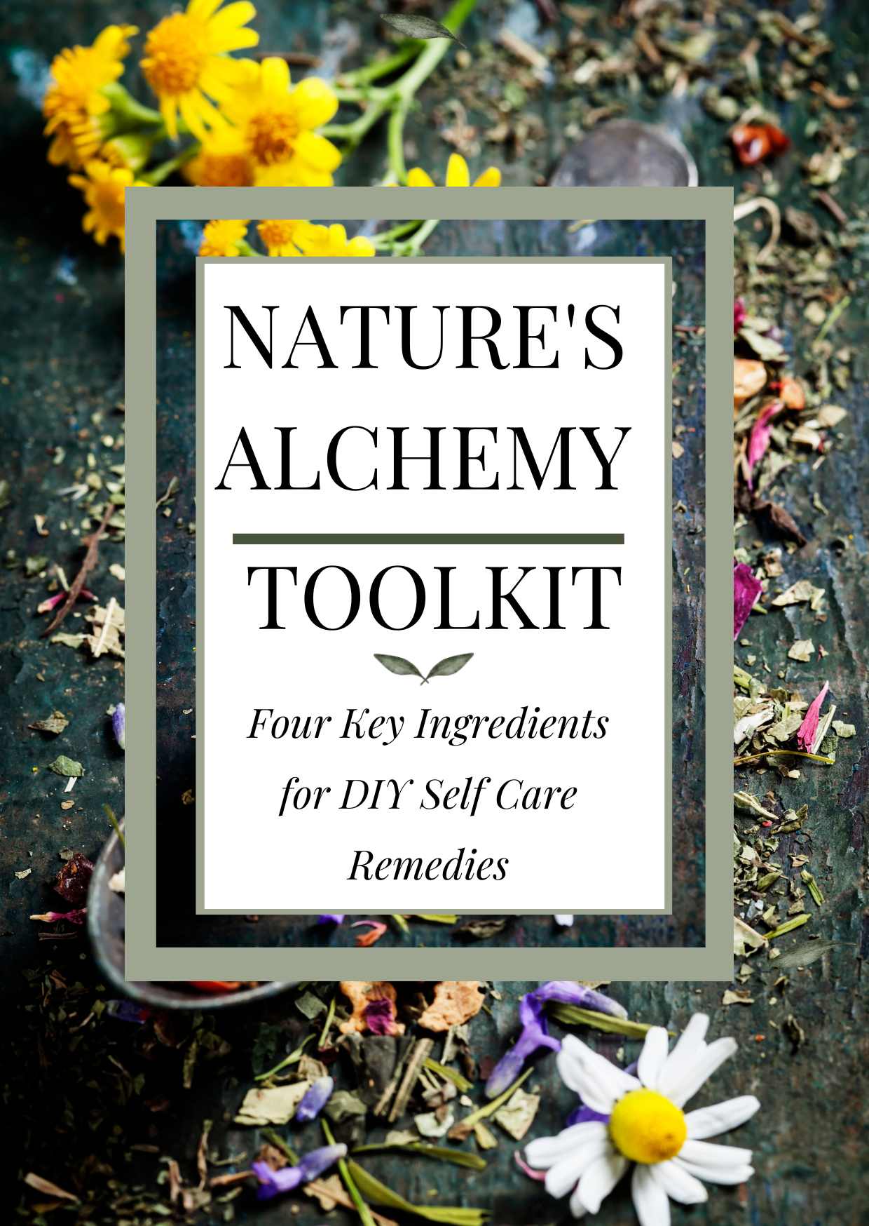 Nature's Alchemy Toolkit
