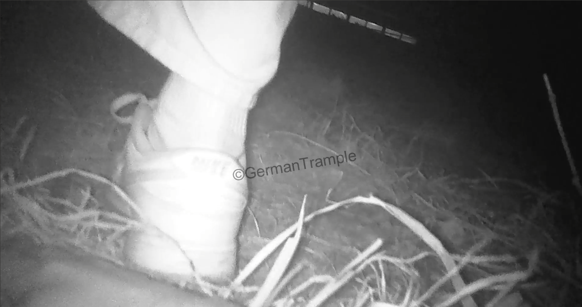 Hand Trample in Park #3