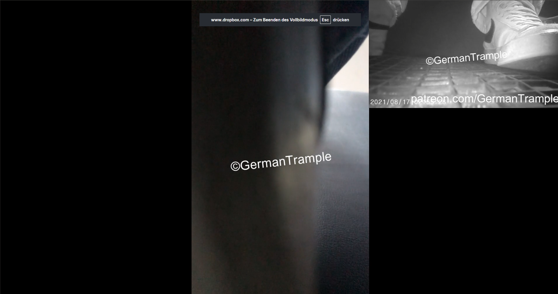 Phone Trample in Car #27