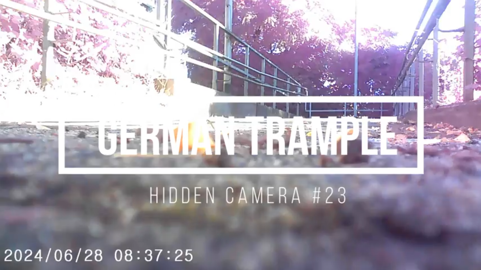 Hidden Camera #23