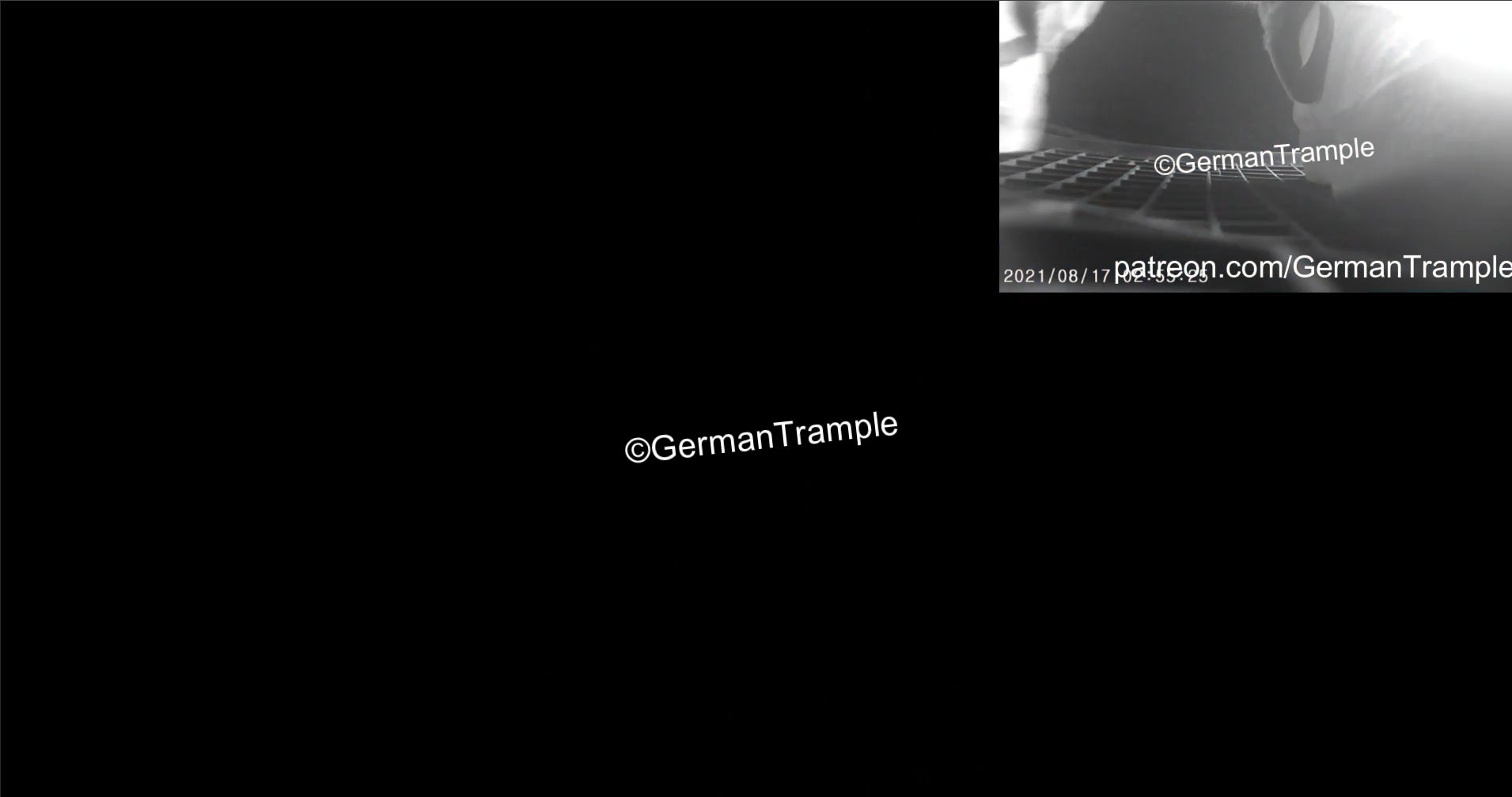Phone Trample in Car #27