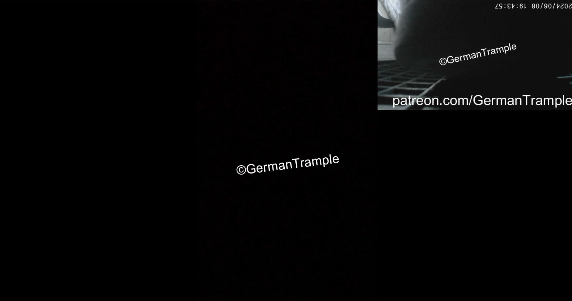 Phone Trample in Car #25
