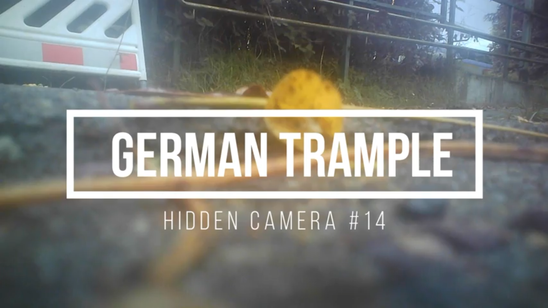 Hidden Camera #14