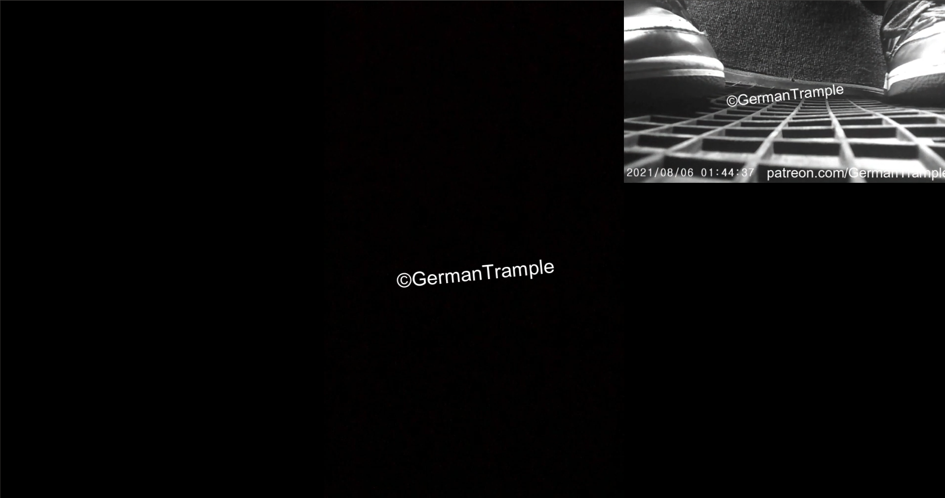 German Trample: Phone Trample in Car #26