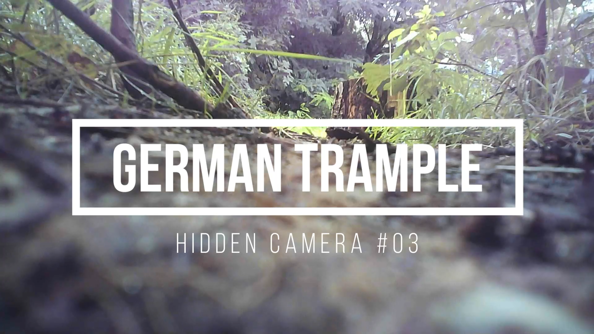 Hidden Camera #04