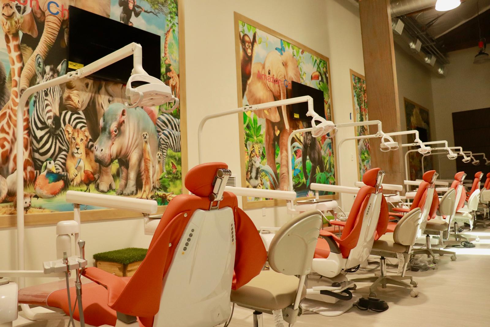 Sensory-Soft Cleaning & Exam