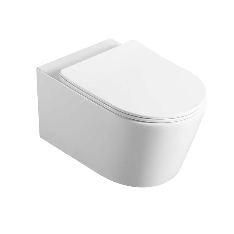 Wall-Hung Toilet