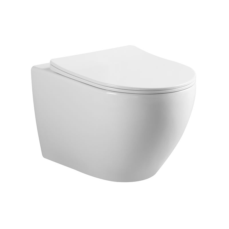 Wall-Hung Toilet