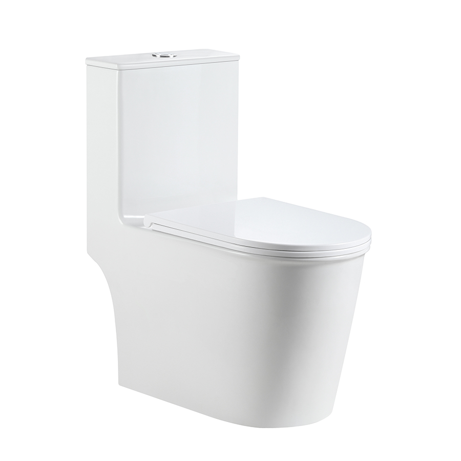 Modern One-Piece Toilet
