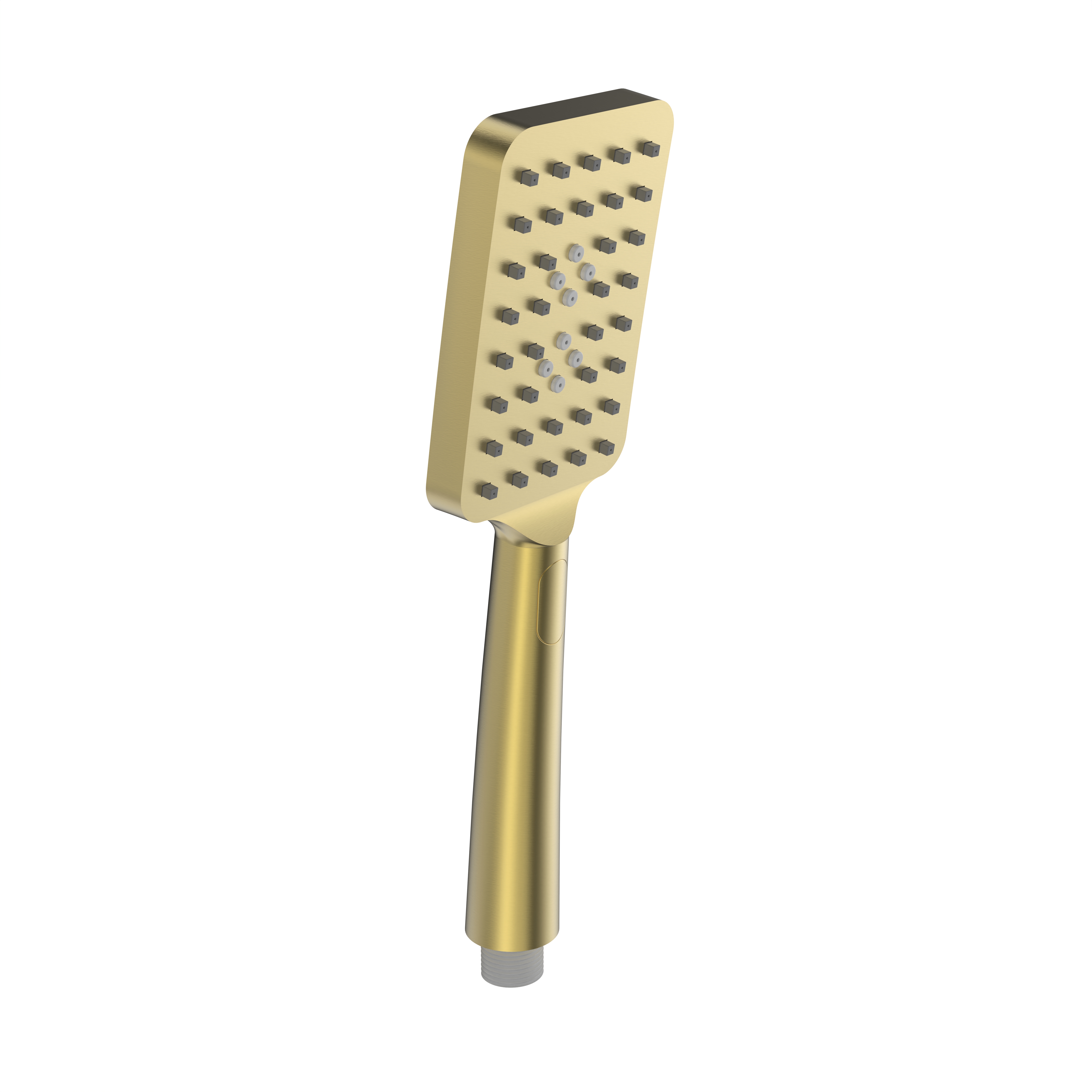 Gold Handheld Shower Head