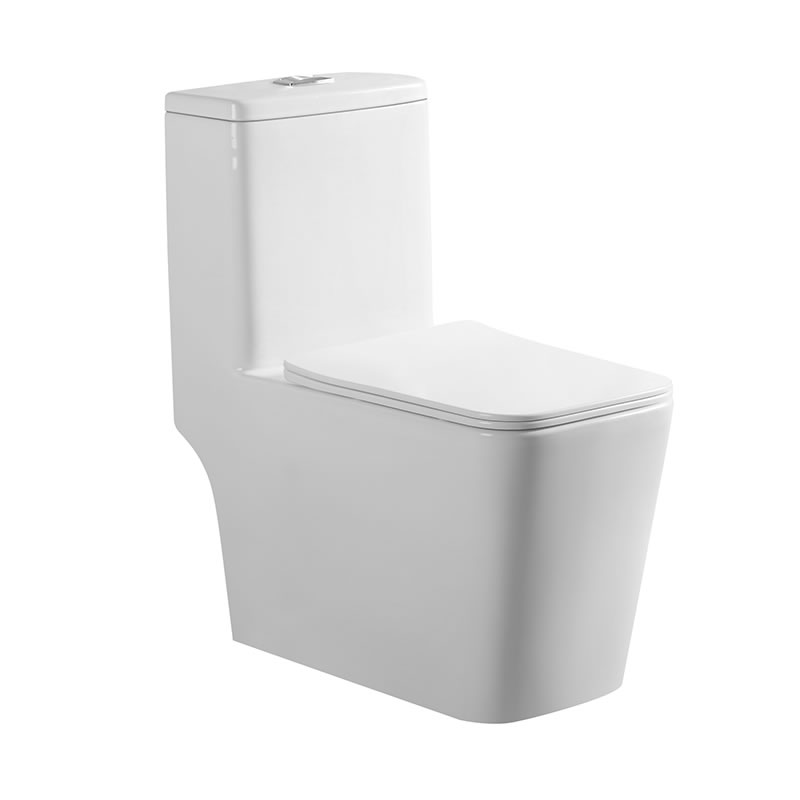 Modern One-Piece Toilet