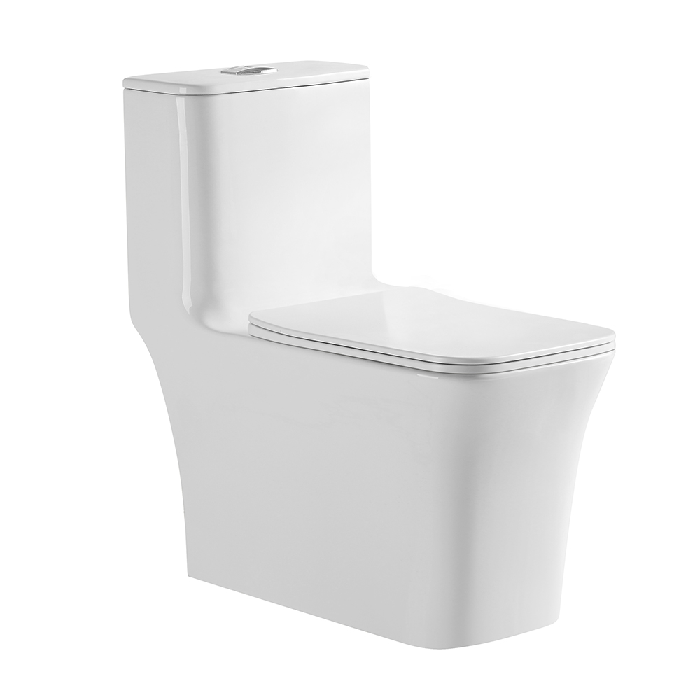 Modern One-Piece Toilet