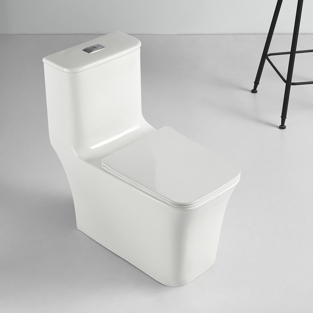 Modern One-Piece Toilet