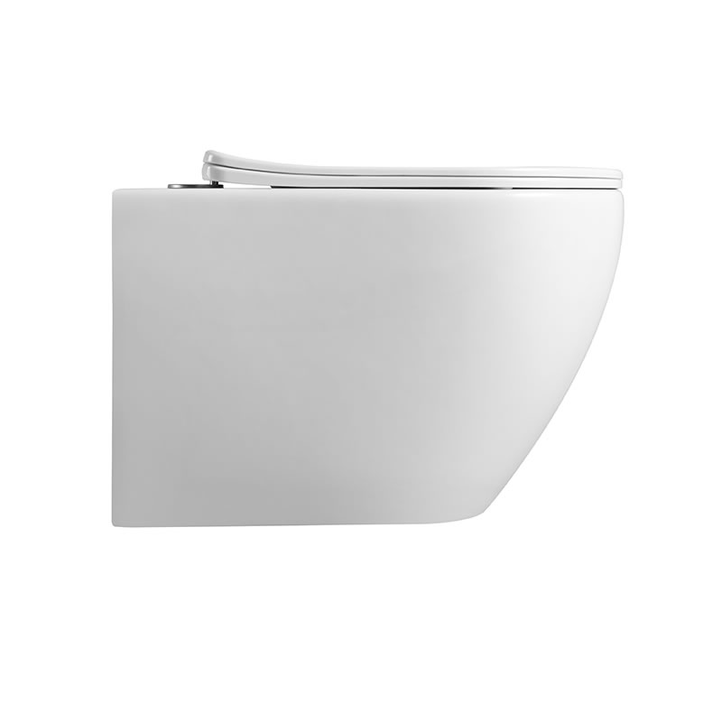 Wall-Hung Toilet
