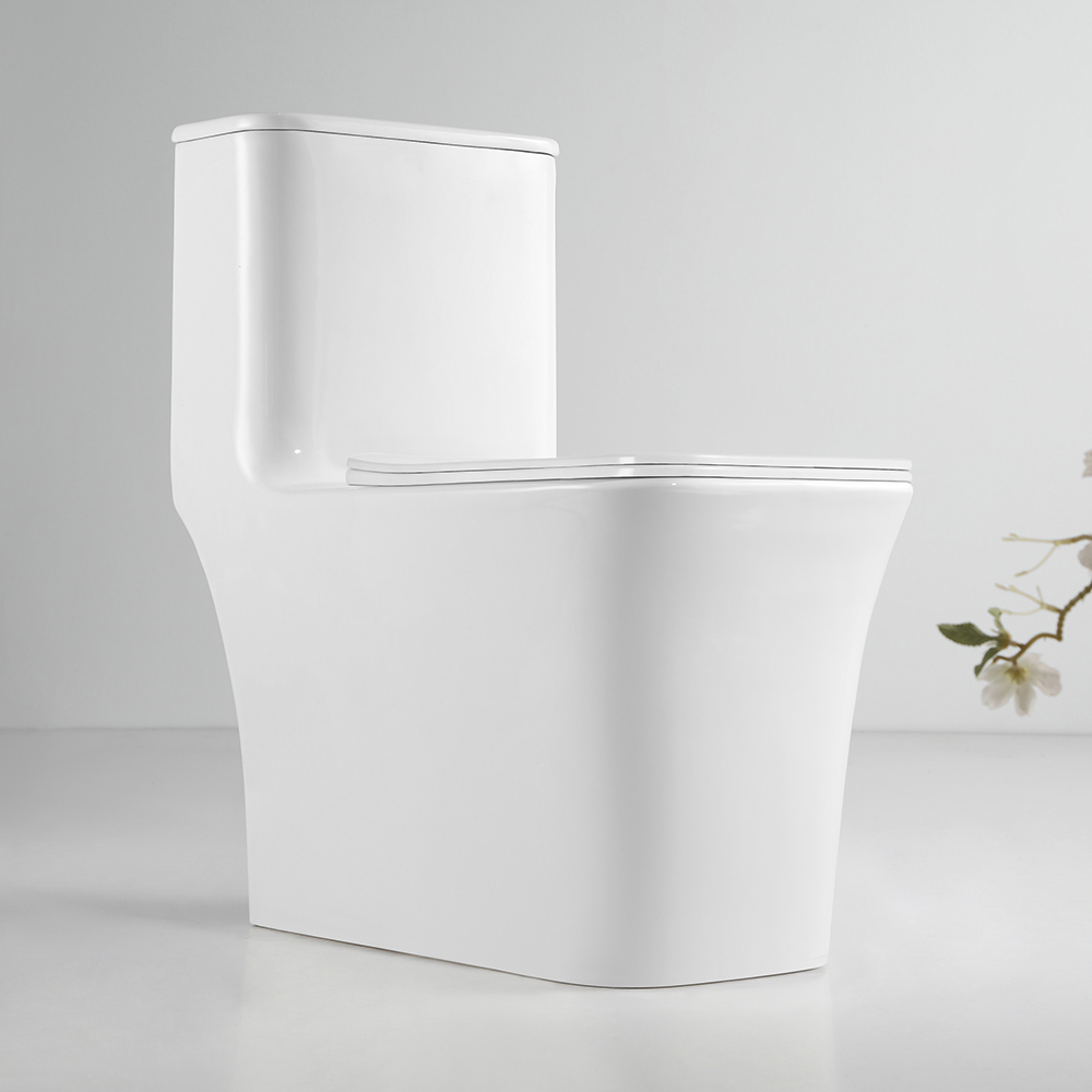 Modern One-Piece Toilet