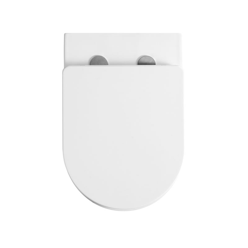 Wall-Hung Toilet