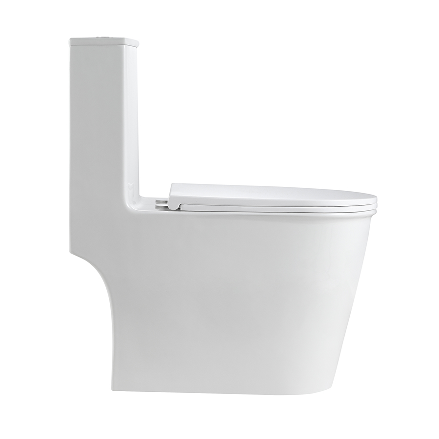 Modern One-Piece Toilet