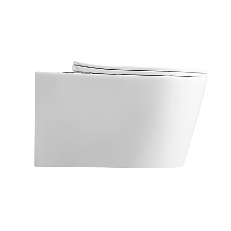 Wall-Hung Toilet