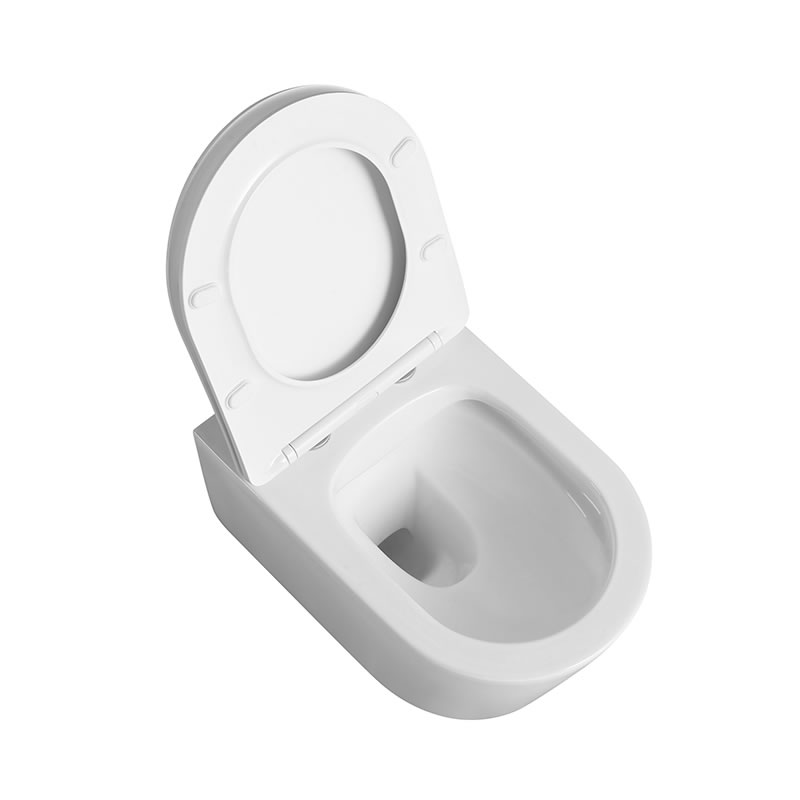 Wall-Hung Toilet