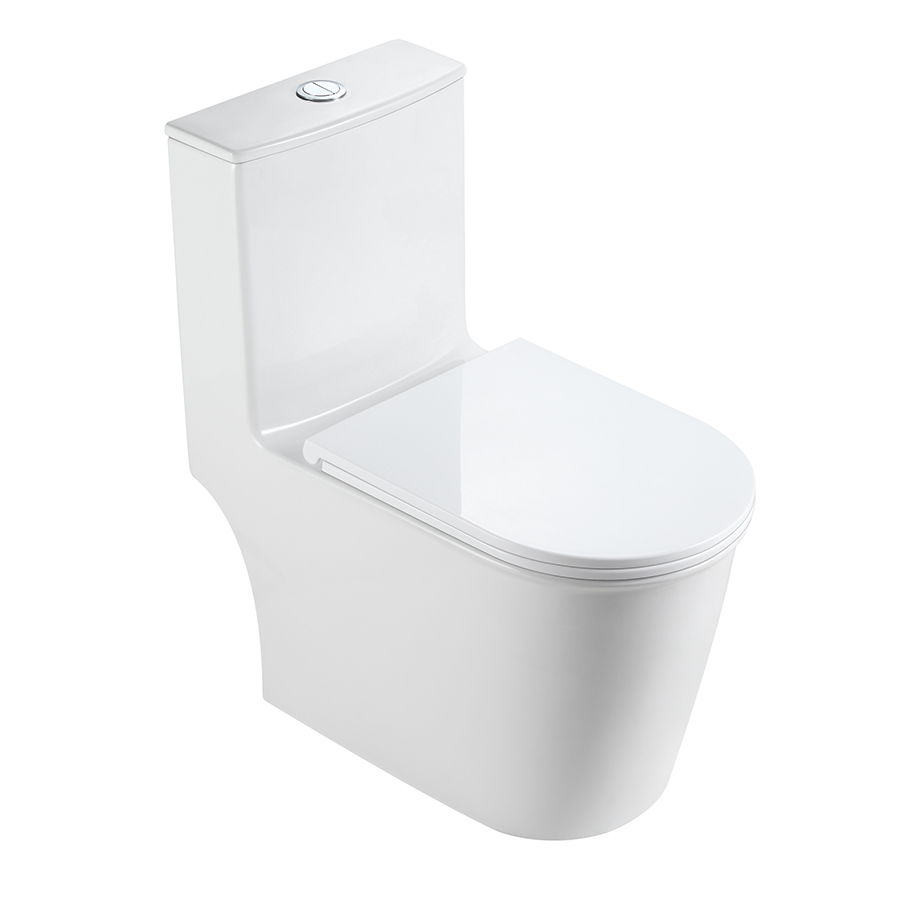 Modern One-Piece Toilet