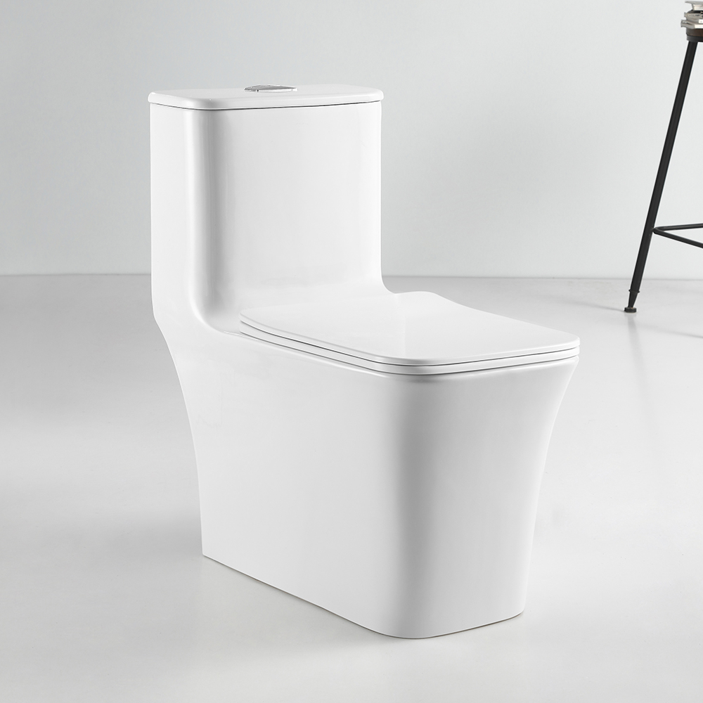 Modern One-Piece Toilet