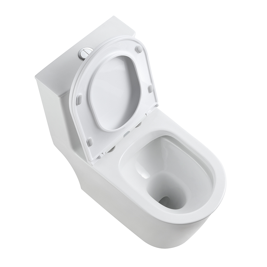 Modern One-Piece Toilet