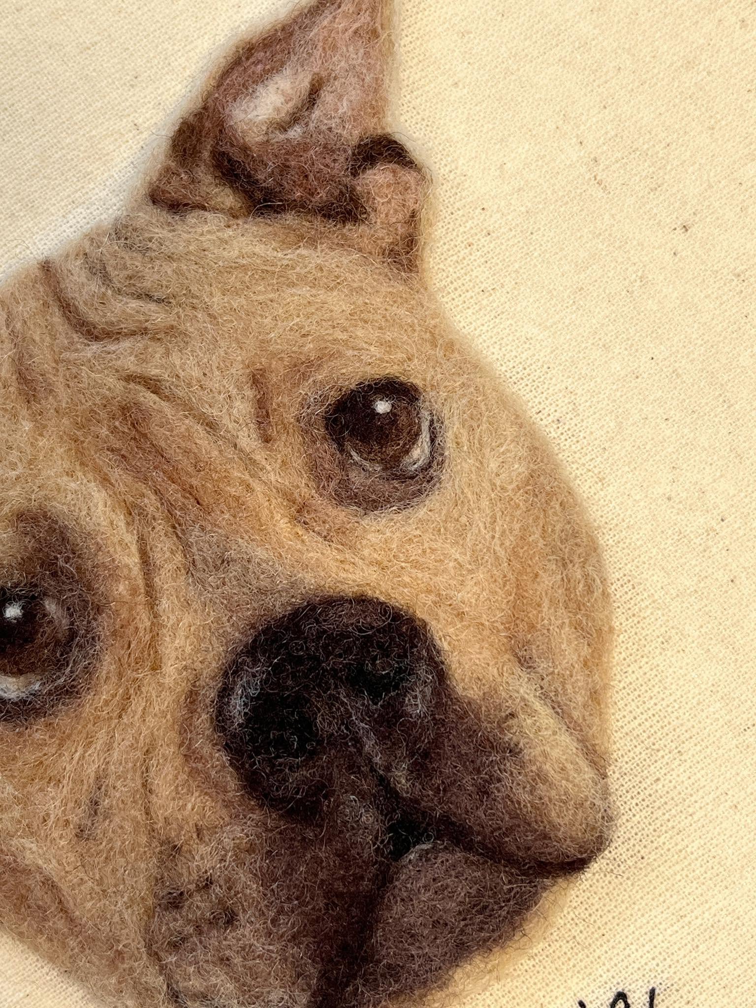 Pet Portrait