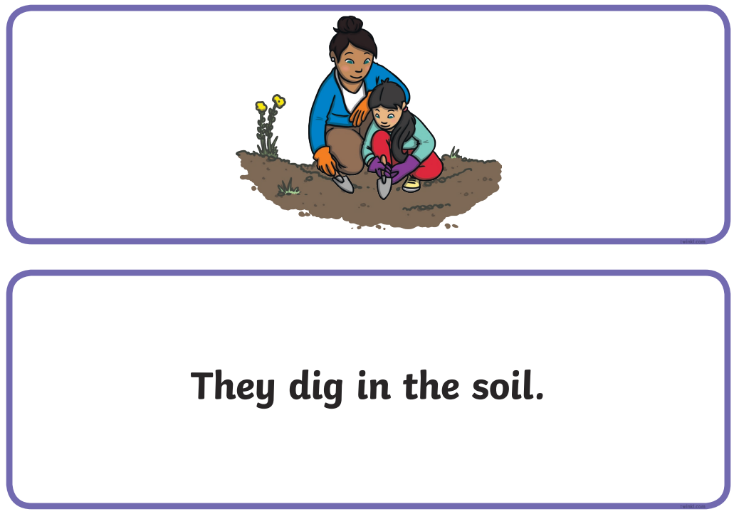English phonic Flashcard