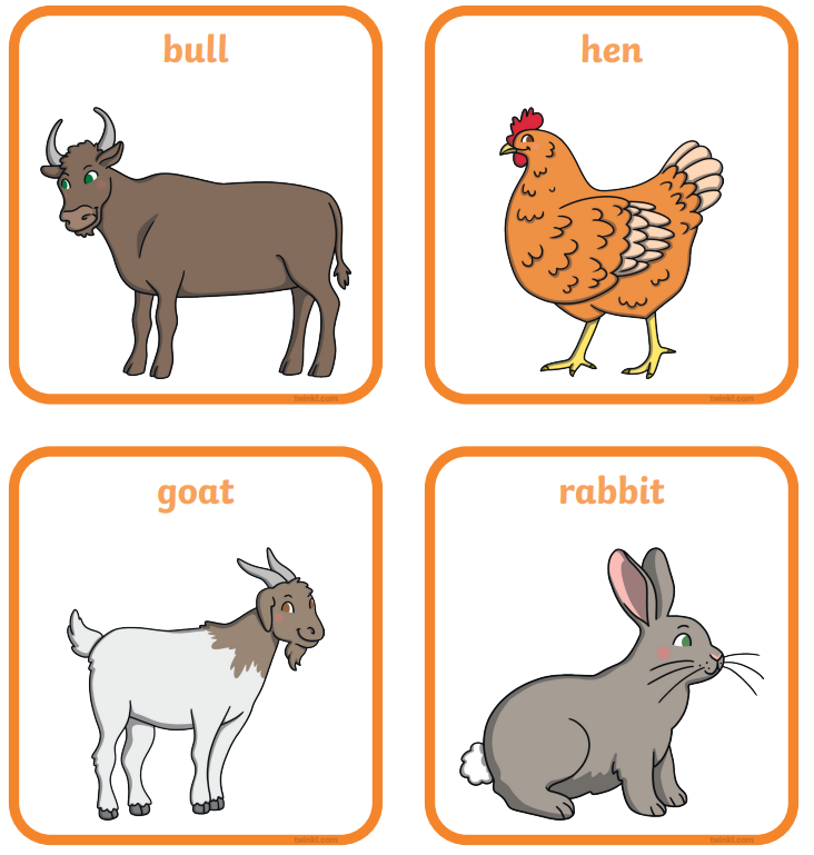 Sea Animal Flashcards
