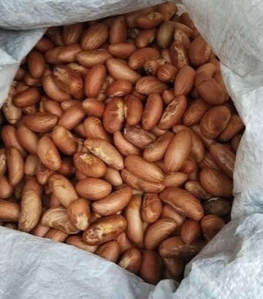 Raw African Groundnuts