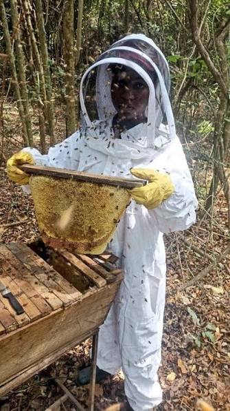 Beekeeping Protective Suit