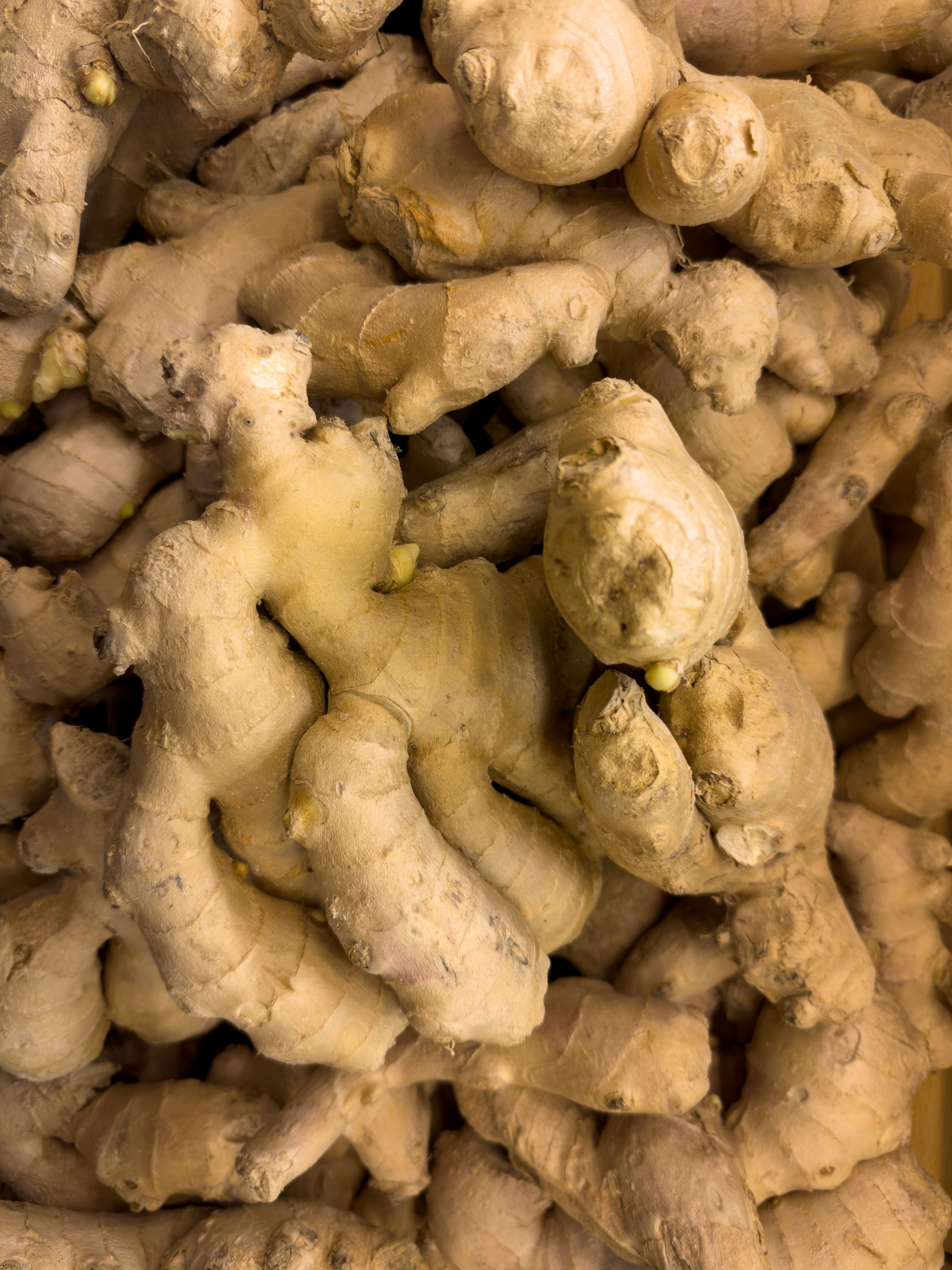 Fresh Ginger Root