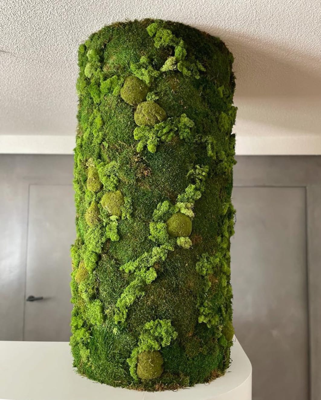jardín vertical de musgo