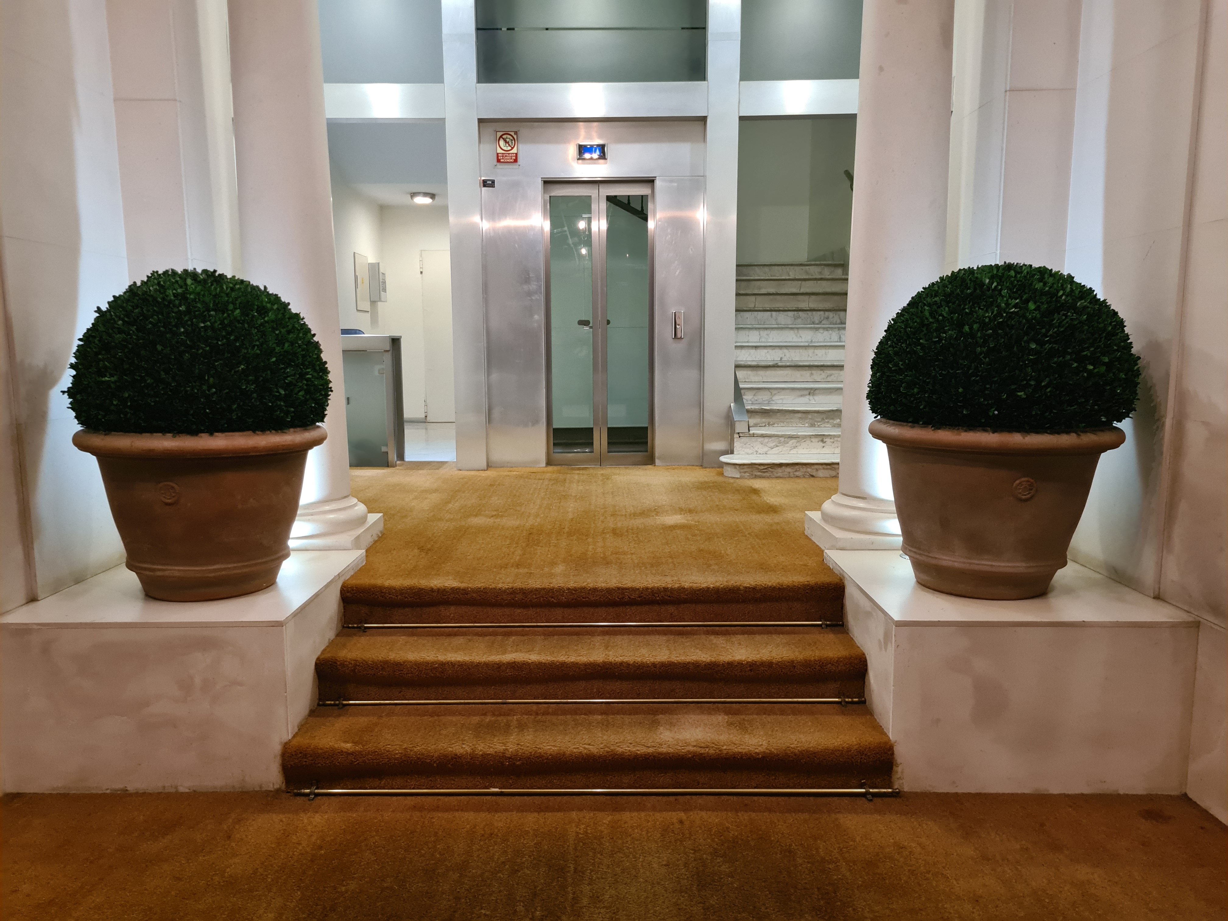 Planta de box preservado