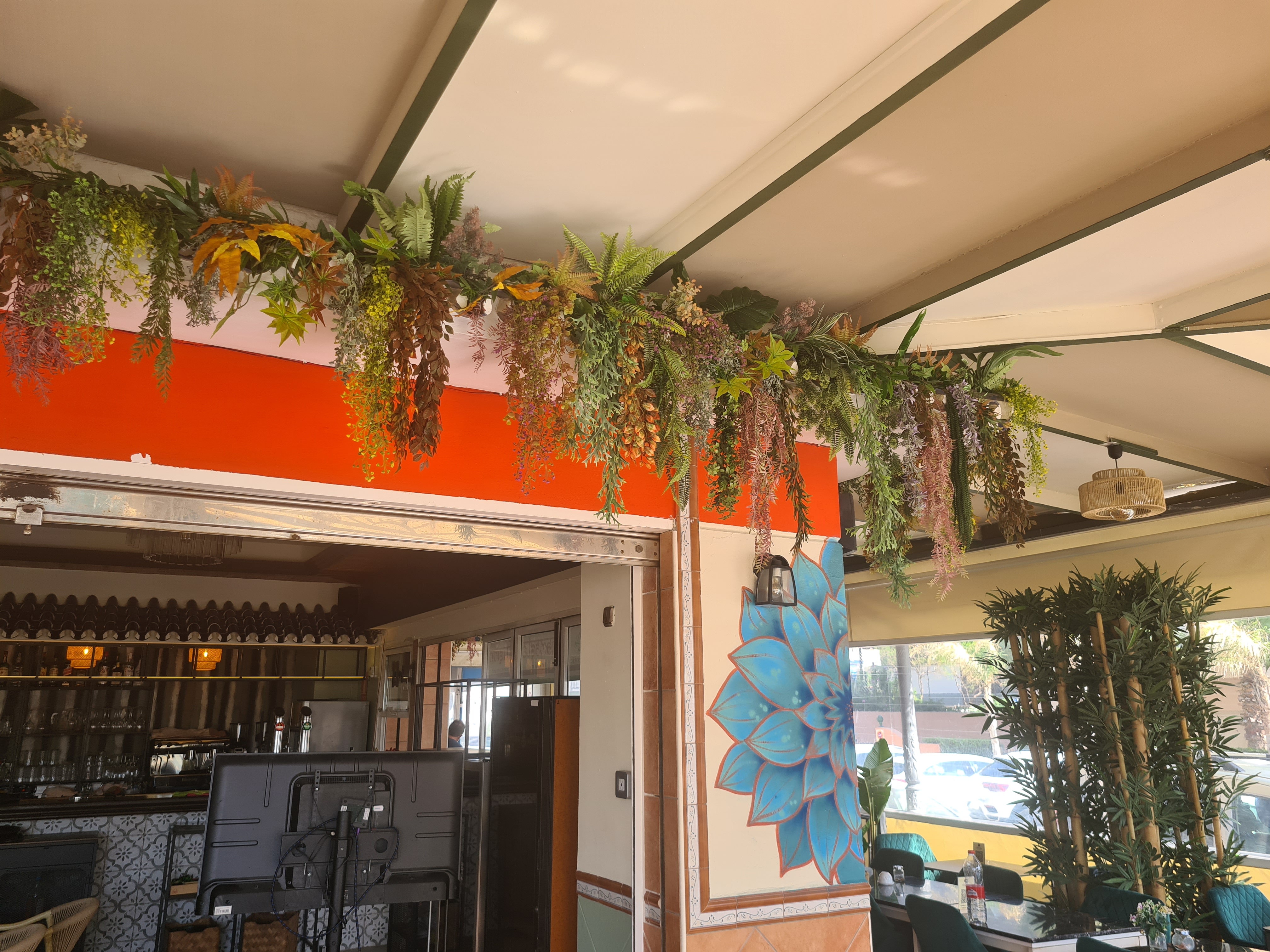 Plantas colgantes decorativas