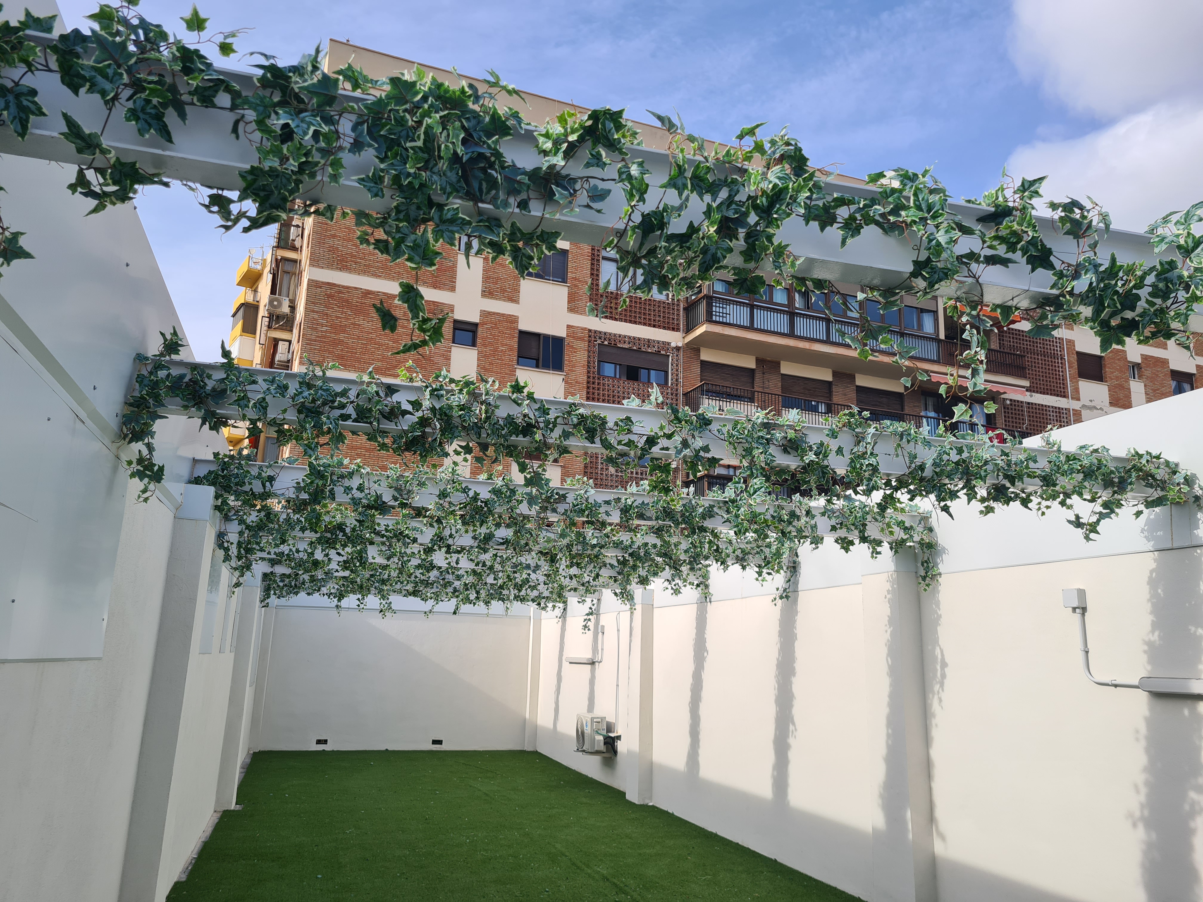 Decoración exterior con hiedra