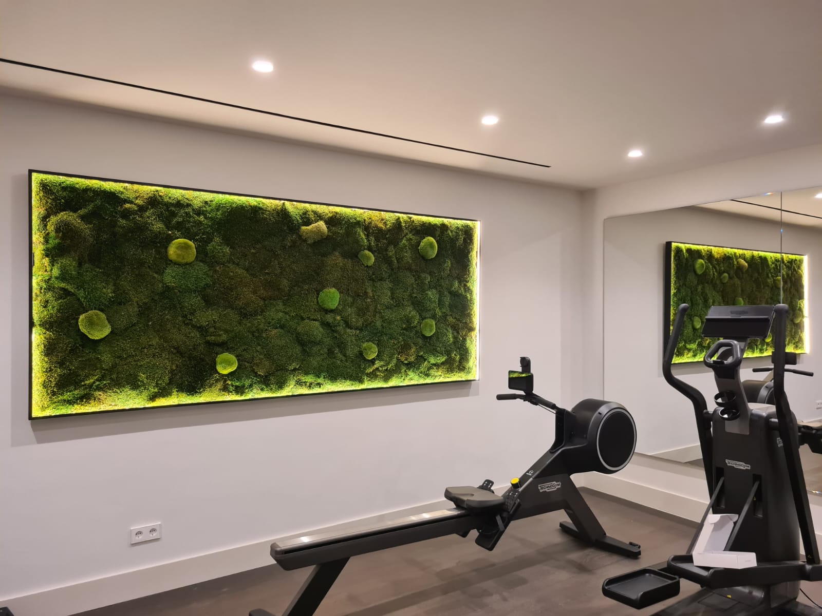 Mural de musgo preservado con luces led