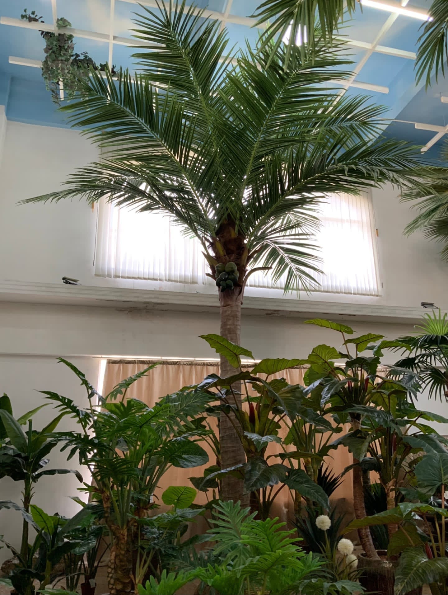 Palmera Phoenix artificial de interior