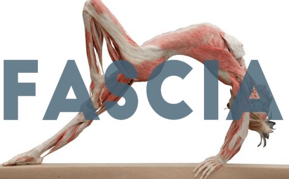 Fáscia e yoga 1x por semana