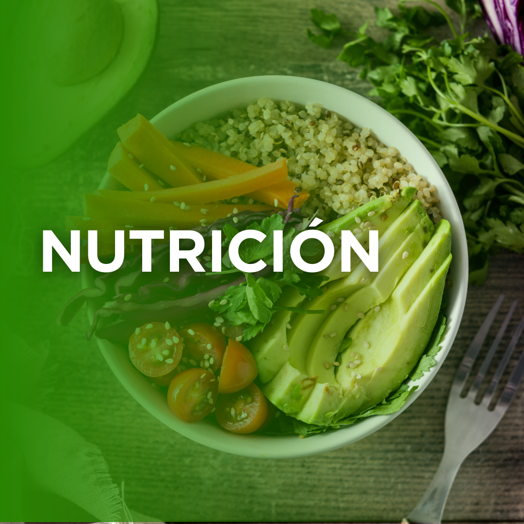 Consulta Nutrición En Línea