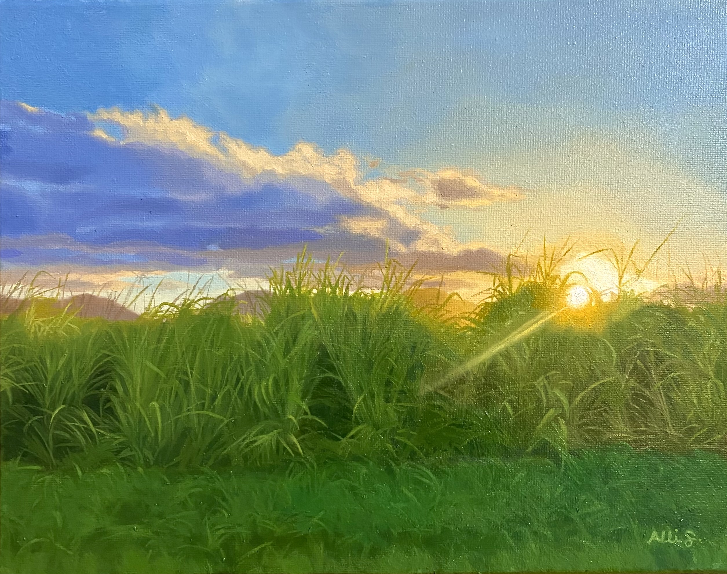 'Wahiawā Warmth' Original