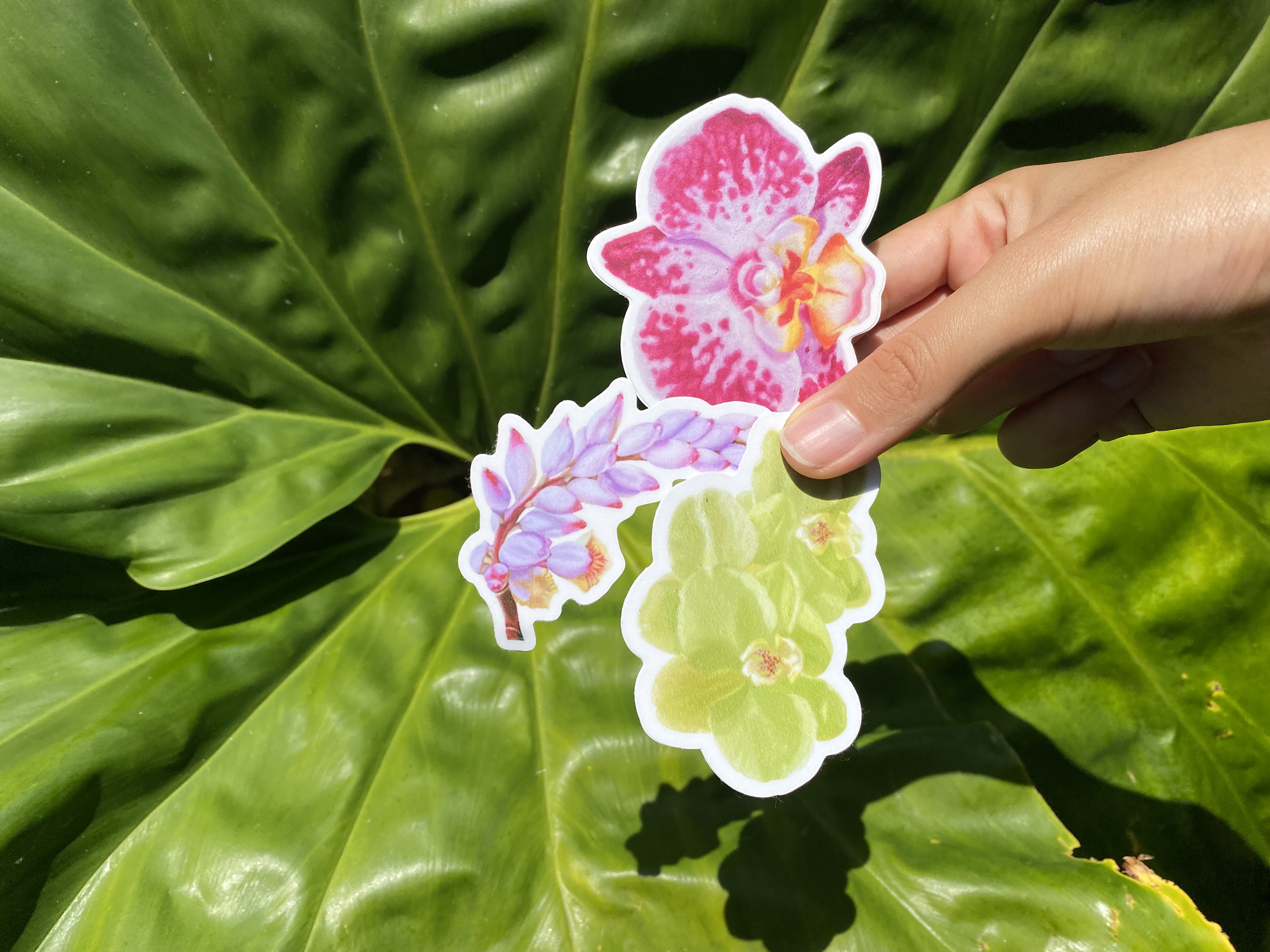 Vinyl Stickers